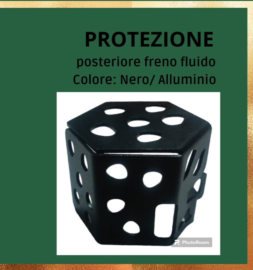 Protezione Olio Freno Posteriore - ROYAL Enfield Himalayan 450