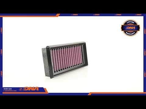 Filtro Aria DNA Aprilia Pegaso 660 Strada-Trail Series (05-10) P-AP6SM05-01