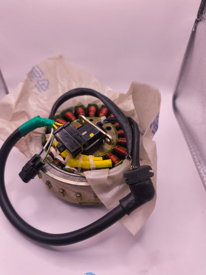 Volano magnete ASSY  Classic/Bullet 500- Euro 3-